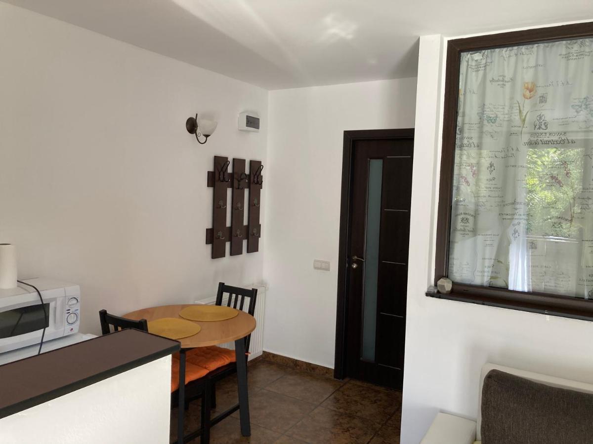 Ski View Studio - Near The Ski Slopes Azuga Extérieur photo