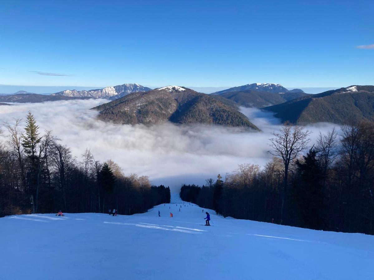 Ski View Studio - Near The Ski Slopes Azuga Extérieur photo