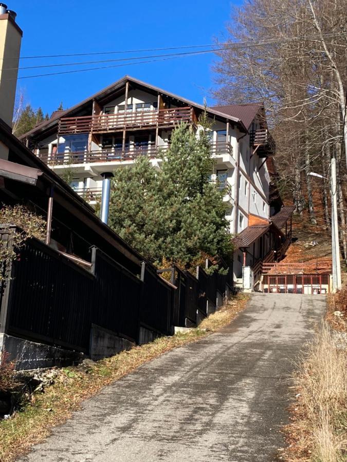 Ski View Studio - Near The Ski Slopes Azuga Extérieur photo